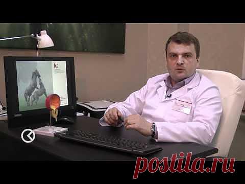 Аденома предстательной железы простаты Лечение народными средствами | Рецепты народной медицины