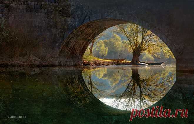 Фотограф Анастасия Колесникова (Anastasia Kolesnikova) - Риека Црноевича #1724050. 35PHOTO