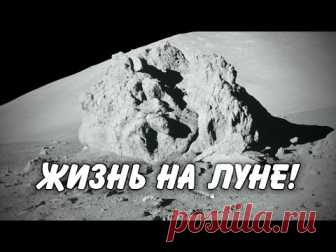 Вот это смог найти астронавт на Луне! - YouTube