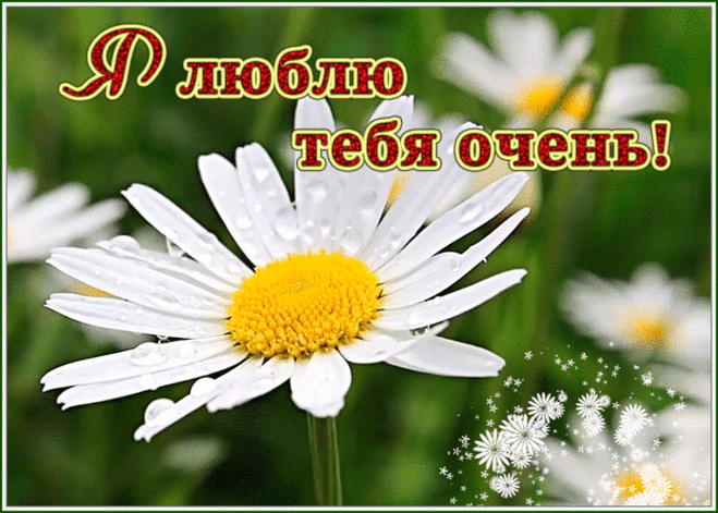 Картинка люблю тебя очень сильно