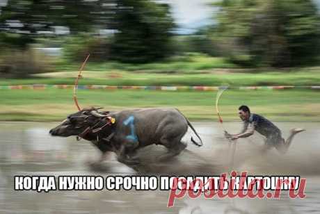 Подборка прикольных фото