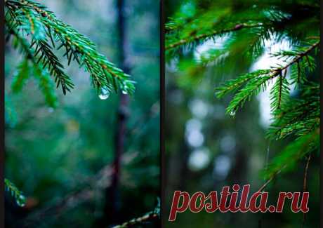 Фото