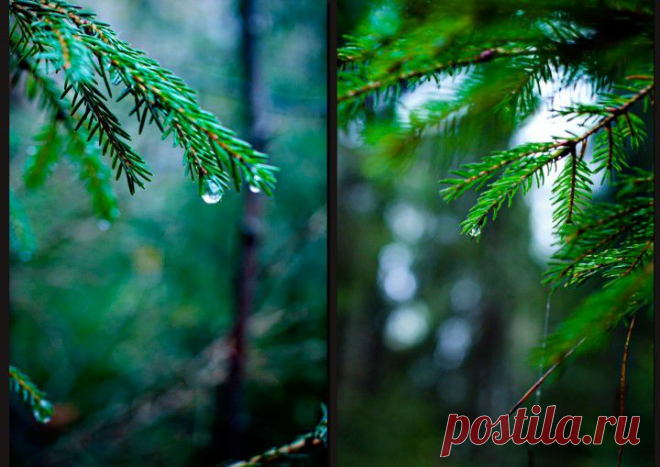 Фото