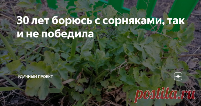 30 лет борюсь с сорняками, так и не победила Часто читаю в комментариях: 