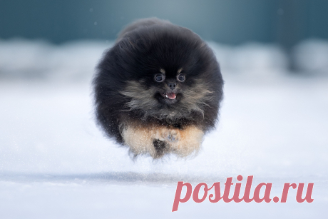 -20, Полет нормальный:). Фотограф Светлана Писарева