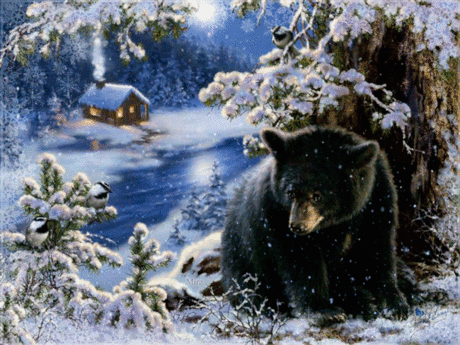 Spend New Year's holidays visiting good Farther Frost in the most charming place in the world &quot;gave the Sacred&quot; - Bialowieza Forest.
CONTACT US ON THE SITE: www.polclub.ru

And how many amazing magic in the residence of the Belarusian Grandfather:
