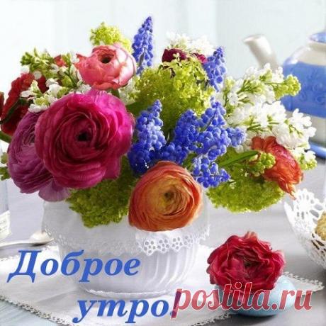 (8) Одноклассники