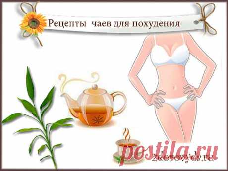 травы для похудения рецепты | Блог  о красоте и здоровье