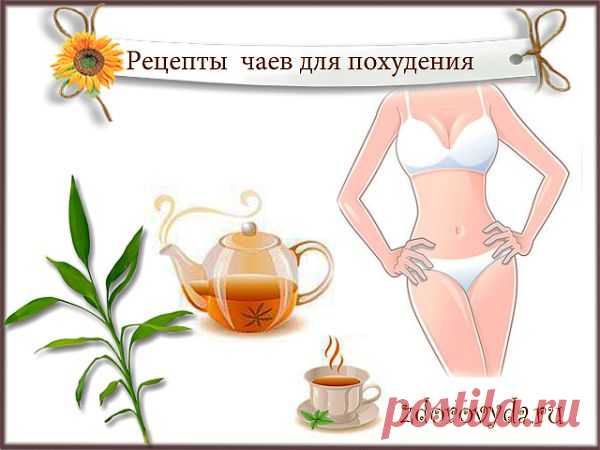 травы для похудения рецепты | Блог о красоте и здоровье