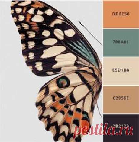 Picking a style and colors for your wedding can be so hard! This collection of palettes and style ideas can help you visualize the wedding of your dreams.