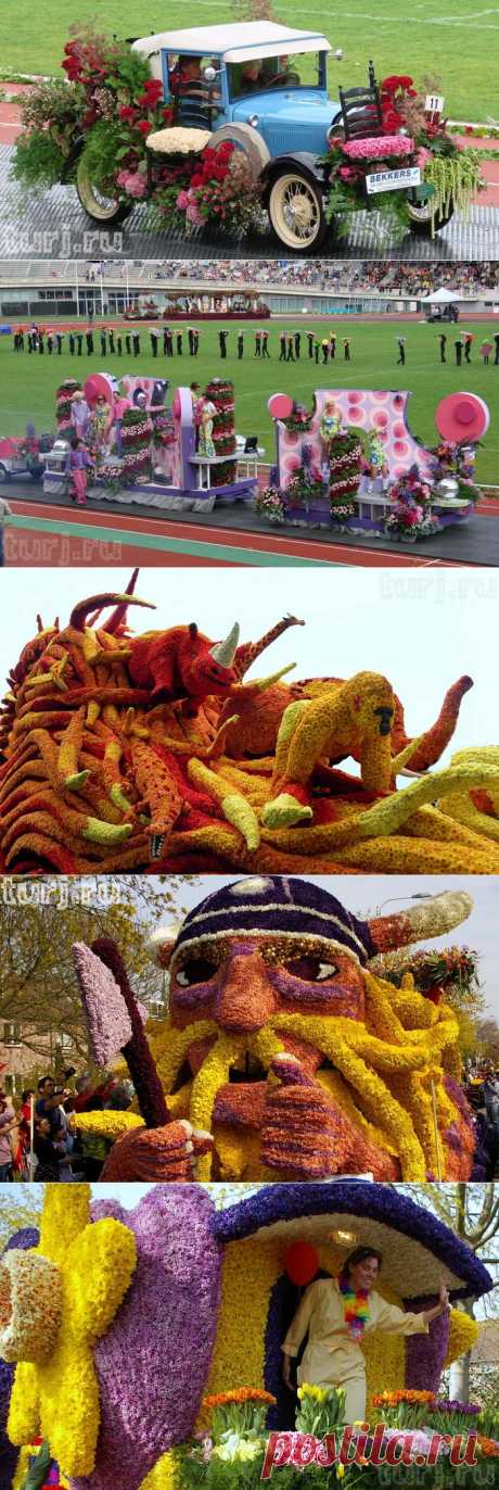 Нидерланды, Аалсмеер: парад цветов в королевстве тюльпанов.