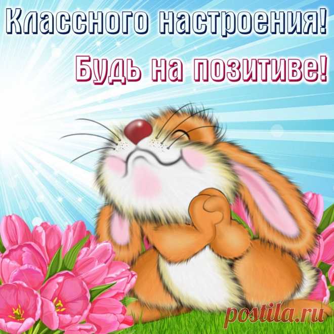 Хочу я, счастья пожелать,
Любви, добра и уваженья,
Чтоб каждый новый день встречать
С великолепным настроеньем!