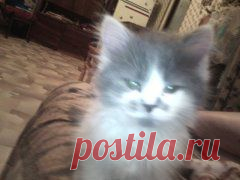Личные фото