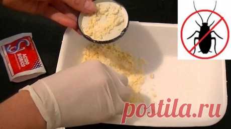 Trucos simples para eliminar las cucarachas por siempre Extermina las cucarachas de tu hogar desde ya con estos remedios caseros, simples y fáciles de preparar. Elimina para siempre las cucarachas de cualquier tipo, las pequeñas, las grandes, sin que regresen.\r\n[ad]\r\nPara desaparecer las cucarachas sin que vuelvan, repite este remedio casero cada 12 días, antes de que se cumpla su ciclo de reproducción.\r\n\r\nIngredientes: \r\n- Leche condensada\r\n- Acido bórico o bi...