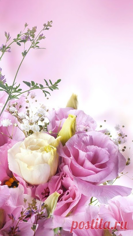 На счастье!