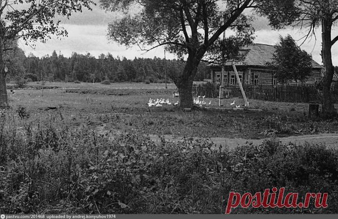 деревня Тархово - Фотографии прошлого
