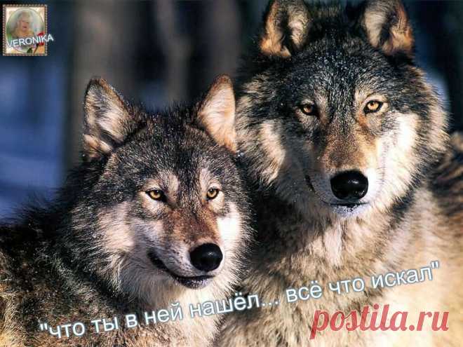 Одноклассники