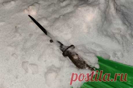 Влюбленная пара российских подростков арестована по подозрению в убийстве семьи. В Омской области суд на два месяца арестовал 14-летнюю школьницу и ее 17-летнего возлюбленного за спланированное убийство семьи из трех человек. Пара призналась в преступлении. Школьница сама подговорила молодого человека убить свою мать и приемного отца, которые были против их отношений.