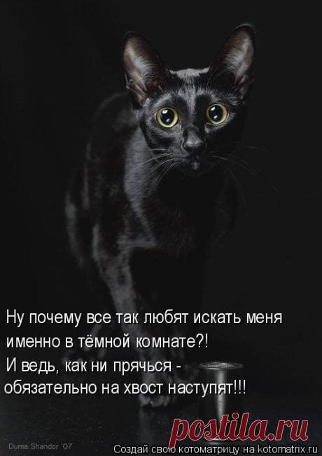 Кто меня видит?