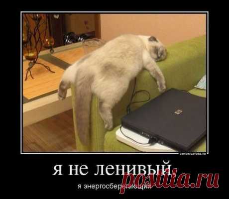 )))