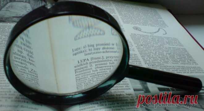 Бесплатные программы для сканирования и распознавания текста Существуют специальные программы, которые умеют «читать» изображения с текстом. Конвертация заключается в том, что на основе алгоритма текст, изображенный на отсканированном документе, преобразовывает...