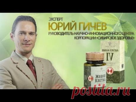 Эксперт Юрий Гичев. "Живая клетка IV".