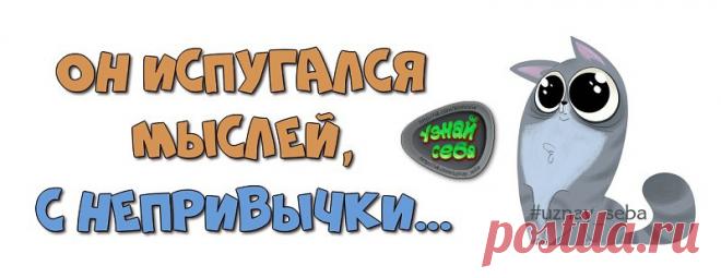 Он испугался мыслей,
с непривычки...

#uznay_seba