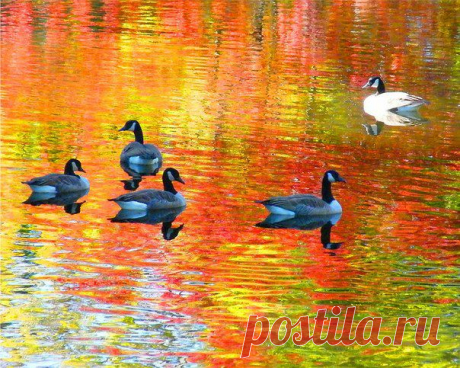 Природа.