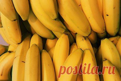 В России предупредили о риске сбоя поставок бананов из Эквадора. Российские импортеры стали получать уведомления от контрагентов о возможном срыве поставок бананов из Эквадора после начала вооруженного мятежа мафиозных группировок в латиноамериканской стране. Об этом сообщила президент Ассоциации импортеров плодоовощной продукции (АИПП) Ирина Норина.