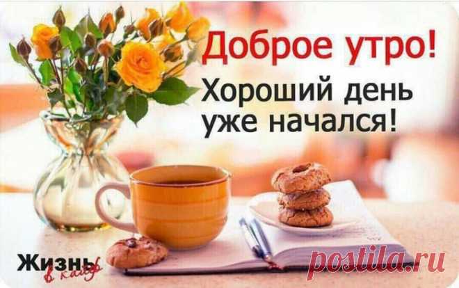 ~🌿~Хорошо - когда хорошо! Сезон не имеет значения...
