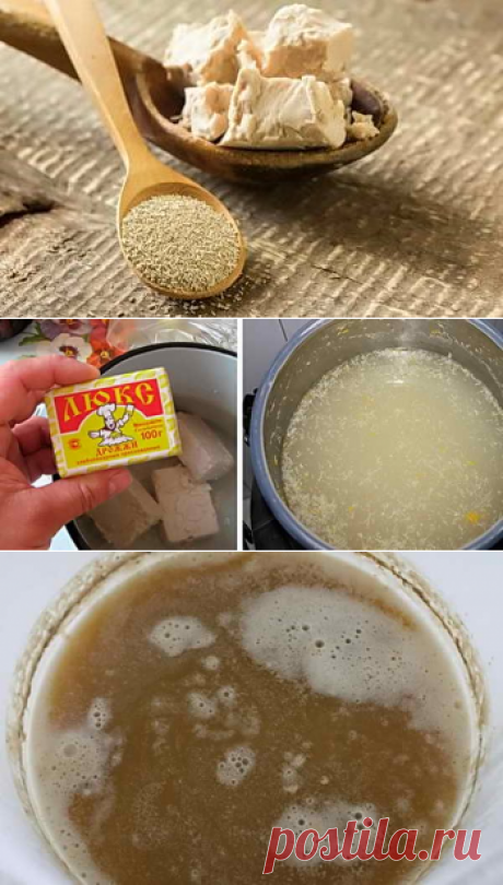 Подкормка растений дрожжами, рецепт и видео приготовления | Дача - впрок