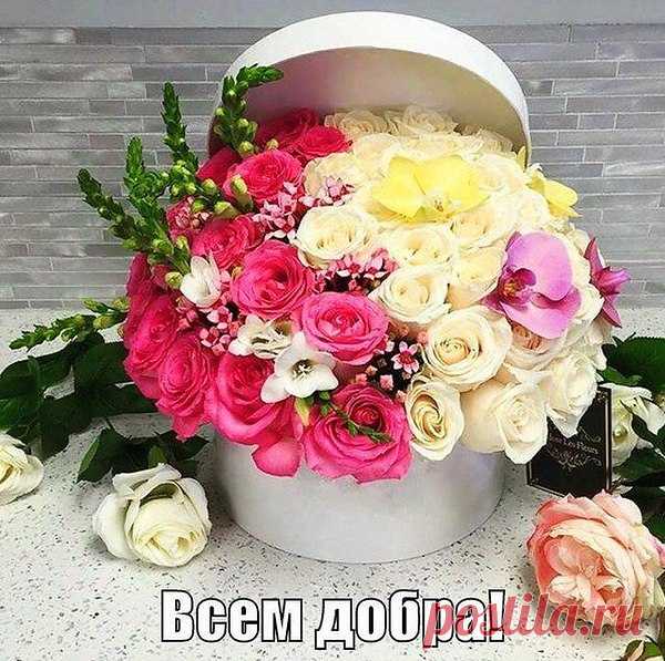 Утро очень просто добрым сделать.. Просто жить.. прощать..любить.. и верить...