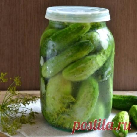 Засолка огурцов без закатки