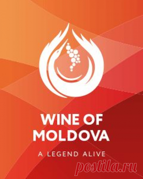 Николае Таран: Надо только восстановить основу молдавского виноделия :: VinMoldova.md