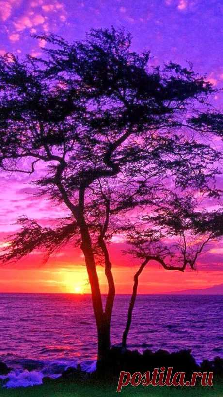 Sunset in Maui, Hawaii  |  Pinterest • Всемирный каталог идей
