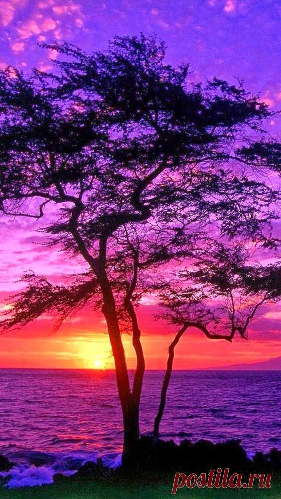 Sunset in Maui, Hawaii  |  Pinterest • Всемирный каталог идей