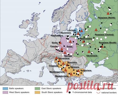 Генофонд славян – единство в многообразии | Генофонд РФ