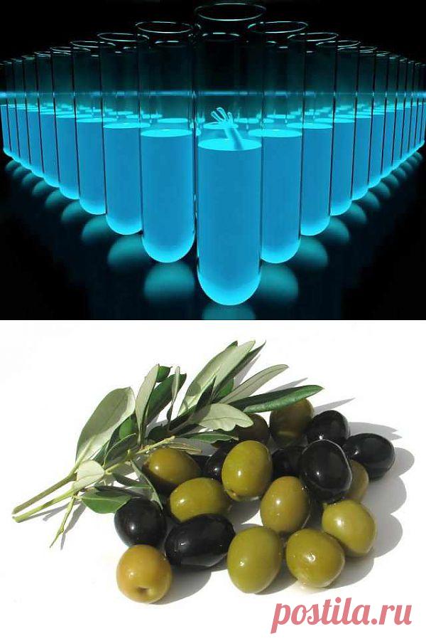 В каких продуктах содержится селен? | ВСЕГДА В ФОРМЕ!