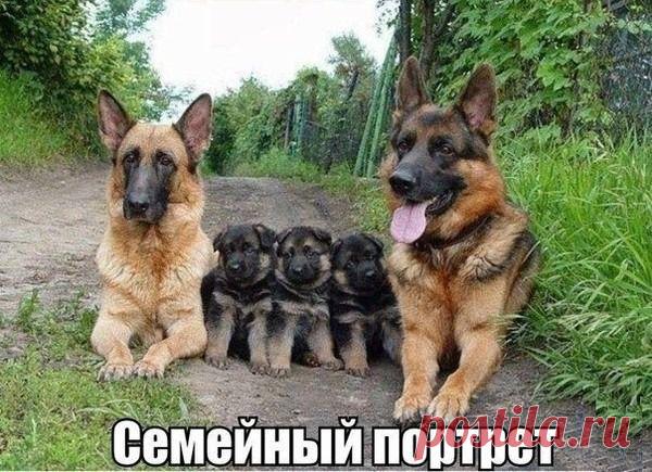 Сообщение (1)