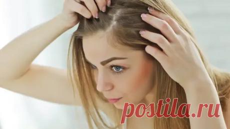 Специалисты назвали продукты, способные остановить выпадение волос - Журнал «Профиль» - медиаплатформа МирТесен