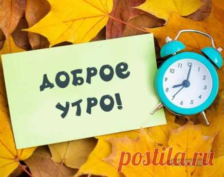 Картинки с добрым утром прикольные осенние смешные (60 фото)