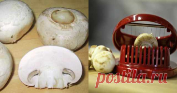 Шампиньоны с чесноком — Готовим дома
