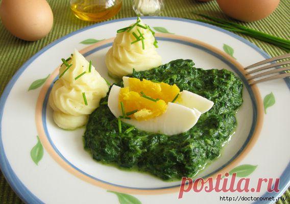 Целебные свойства и польза шпината. Рецепт пхали.