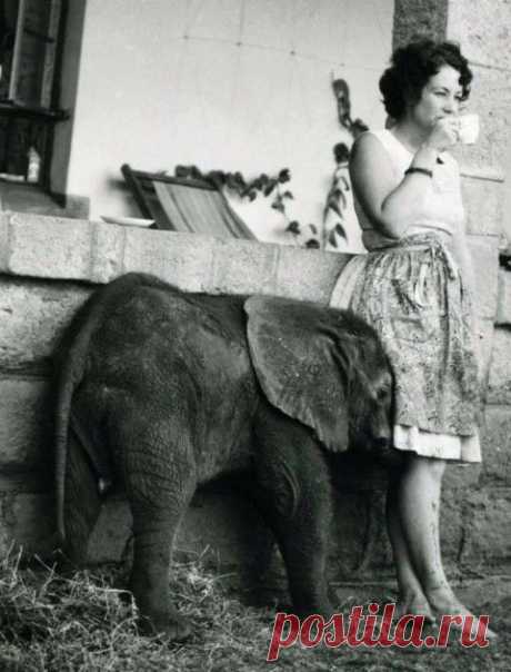 Избавьтесь от ожиданий. | Эксклюзив