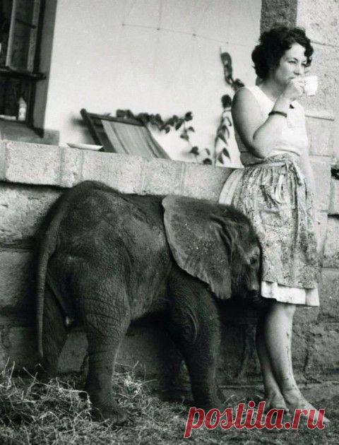 Избавьтесь от ожиданий. | Эксклюзив