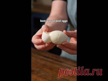 How To Peel An Egg Like A Pro