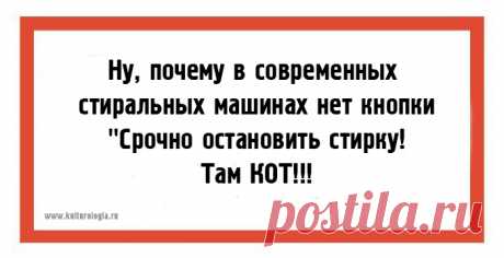 20 юмористических правдиво-жизненных открыток для поднятия настроения