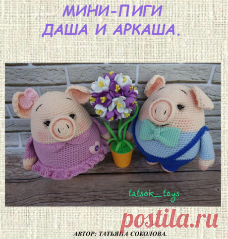 Мини-пиги Даша и Аркаша - Символ 2019 года 













