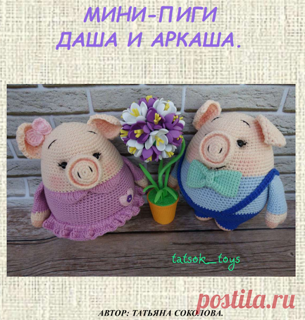 Мини-пиги Даша и Аркаша - Символ 2019 года 













