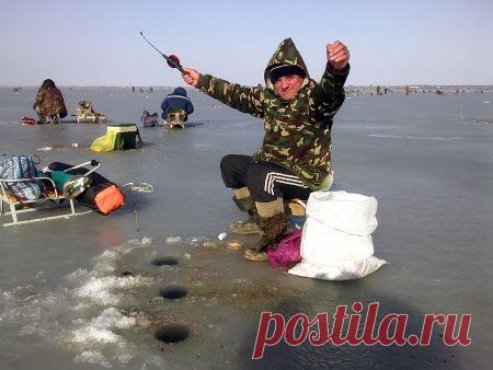 За отборной таранью на Ейский лиман